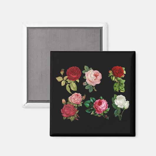 バラ宝磁石 マグネット (正面/裏面)