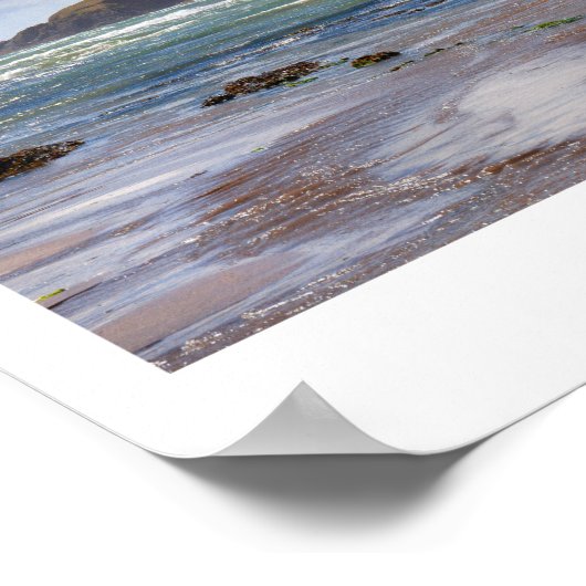 バラ島 ポスター (角)