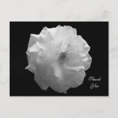 バラ悔やみや弔慰サンキューハガキ ポストカード (正面)