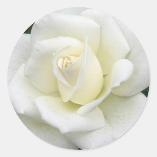 バラ意味シール ラウンドシール (正面)