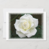 バラ意味招待状 招待状 (正面)