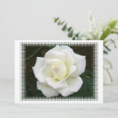 バラ意味招待状 招待状 (スタンド正面)