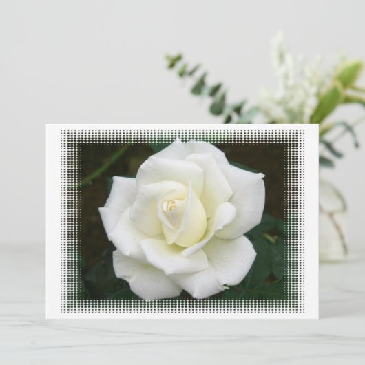 バラ意味招待状 招待状 (スタンド正面)