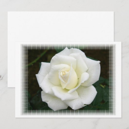 バラ意味招待状 招待状 (正面/裏面)