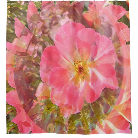 バラ愛…..... シャワーカーテン (正面)