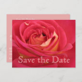 バラ日付を保存55誕生祝いAPost 案内ポストカード (正面/裏面)