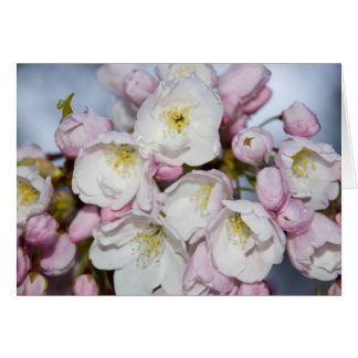 バラ日本のカード