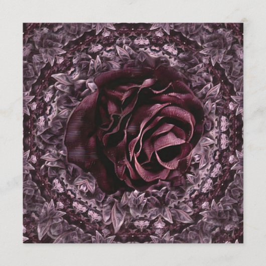 バラ曼荼羅 プログラム (正面)