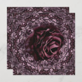 バラ曼荼羅 プログラム (正面/裏面)