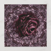 バラ曼荼羅 プログラム (裏面)