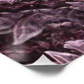 バラ曼荼羅 ポスター (コーナー)