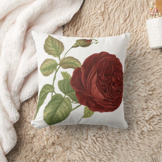 バラ枕 クッション (ブランケット)