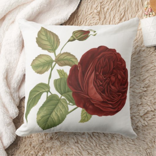 バラ枕 クッション (ブランケット)