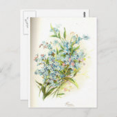 バラ業者 ポストカード (正面/裏面)