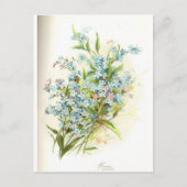 バラ業者 ポストカード (正面)