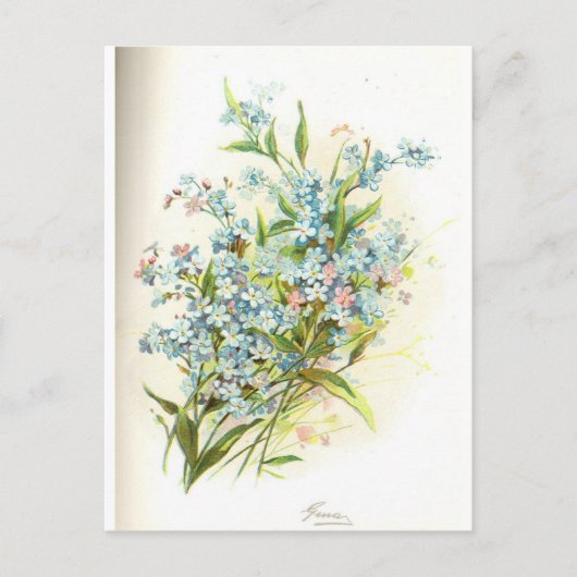 バラ業者 ポストカード (正面)