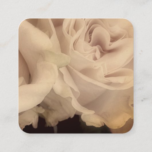 バラ淡い色のの繊細なピンクの写真カスタムアート スクエア名刺 (裏面)