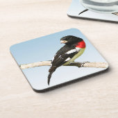 バラ焼きグロスビーク コースター (左側)