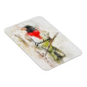 バラ焼きグロスベーク(Pheuticus ludovicianus) マグネット (右側)