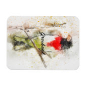 バラ焼きグロスベーク(Pheuticus ludovicianus) マグネット (横)