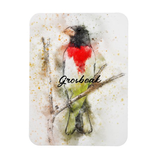 バラ焼きグロスベーク(Pheuticus ludovicianus) マグネット (縦)