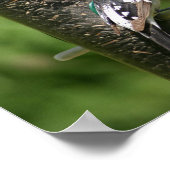 バラ焼きグロッサク ポスター (角)