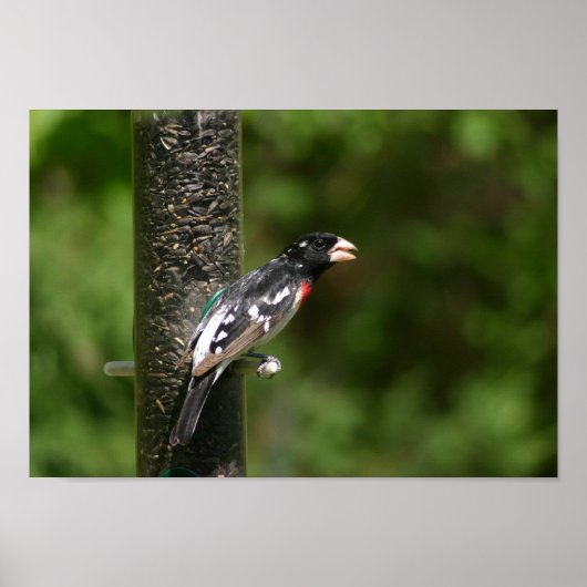 バラ焼きグロッサク ポスター (正面)