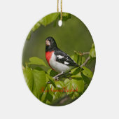 バラ焼きグローズビーク撮影ラウンド セラミックオーナメント (右)