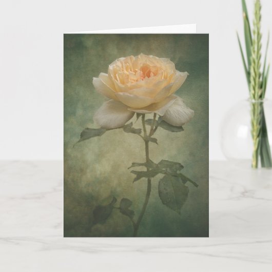 バラ独身のカード カード (正面)