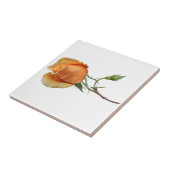 バラ独身の切断 タイル (側面)