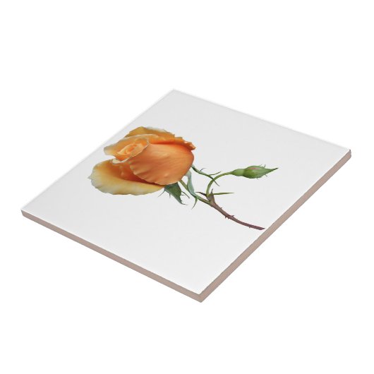 バラ独身の切断 タイル (側面)