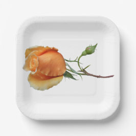 バラ独身の切断 ペーパープレート