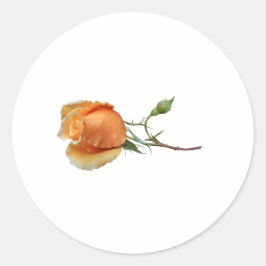 バラ独身の切断 ラウンドシール