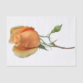 バラ独身の切断 薄葉紙