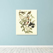 バラ産のオードボン・バーズオブアメリカ キャンバスプリント (インサイチュ (ウッドフロア))