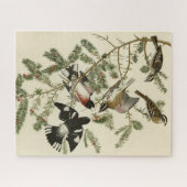 バラ産のオードボン・バーズオブアメリカ ジグソーパズル (横)