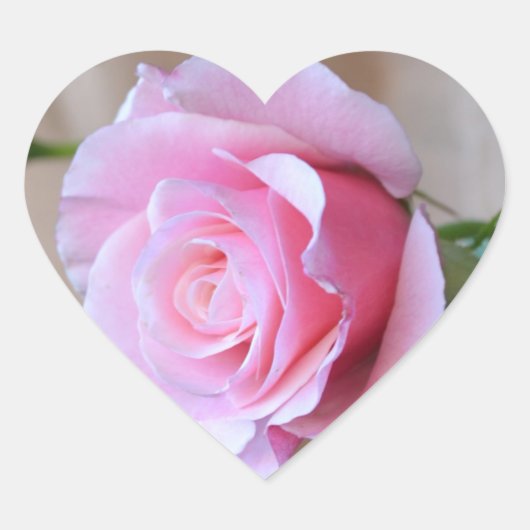 バラ畏敬のハートシール ハートシール (正面)