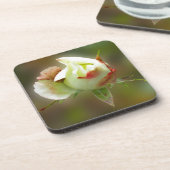 バラ白熱［赤熱］光を放つ芽 コースター (左側)