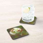 バラ白熱［赤熱］光を放つ芽 コースター (右側)