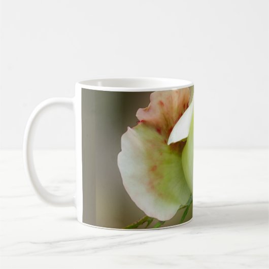 バラ白熱［赤熱］光を放つ芽 コーヒーマグカップ (左)