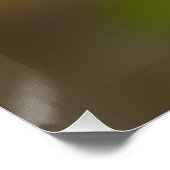 バラ白熱［赤熱］光を放つ芽 ポスター (コーナー)