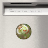 バラ白熱［赤熱］光を放つ芽 マグネット (インサイチュ (食洗機))