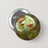 バラ白熱［赤熱］光を放つ芽 缶バッジ (正面&裏面)