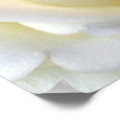 バラ白 ポスター (角)