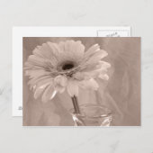 バラ着色デイジー ポストカード (正面/裏面)