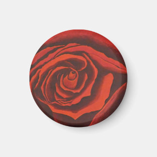 バラ磁石 マグネット