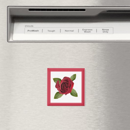 バラ磁石 マグネット (インサイチュ (食洗機))