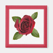 バラ磁石 マグネット (正面)