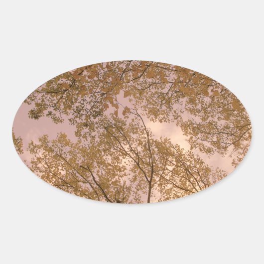 「バラ秋」スタンプ 楕円形シール (正面)