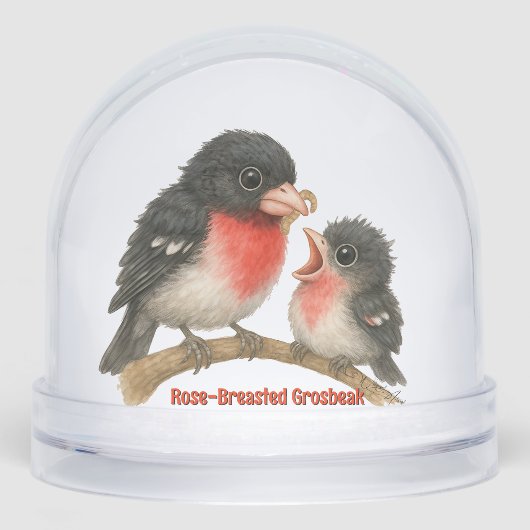 バラ素晴らしブレストグロスビーク (正面)